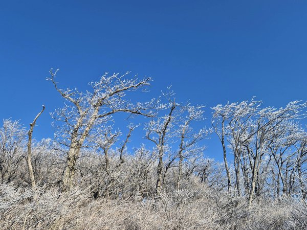 Unlocking Healing: The Transformative Power of Art for Those with Post-Traumatic Stress Disorder